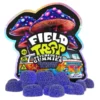 Blueberry Blastoff Field Trip Psychedelic Mushroom Gummies