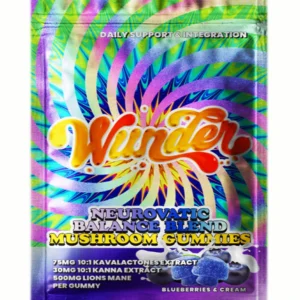 Blueberry & Cream Wunder Neurovatic Balance Blend Mushroom Gummies 2ct