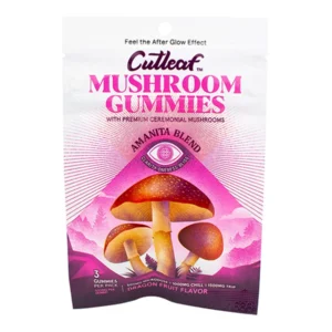 Dragon Fruit Cutleaf Mushroom Gummies Amanita Blend 500mg