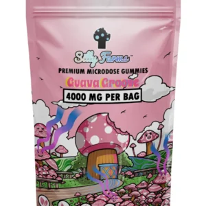 Guava Groove Silly Farms Vegan Mushroom Gummies 4000MG