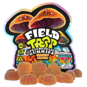 Mango Mania Field Trip Psychedelic Mushroom Gummies