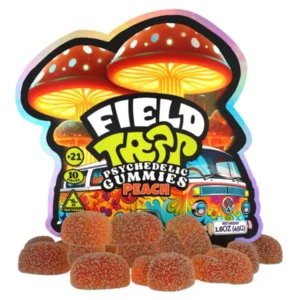 Peach Field Trip Psychedelic Mushroom Gummies