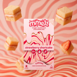 Mmelt Strawberry Shortcake Mushroom Chocolate – 6G