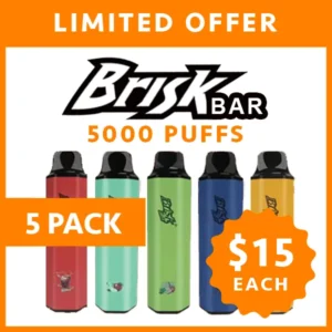 BRISK BAR – 5000 PUFFS – 5 PACK