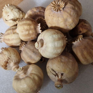 12 pounds dried poppy heads(For pain) Small Size A quality