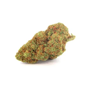 Tropical Haze