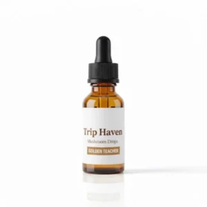 Golden Teacher (Trip Haven Mushroom Drops)