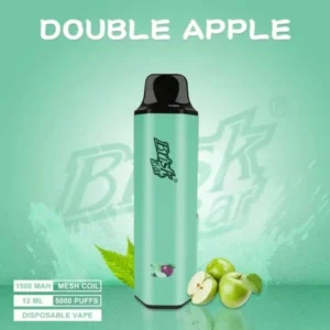 BRISK BAR DOUBLE APPLE – 5000 PUFFS
