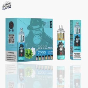 Cool Mint RandM Tornado 7000 Puffs Prefilled Vape